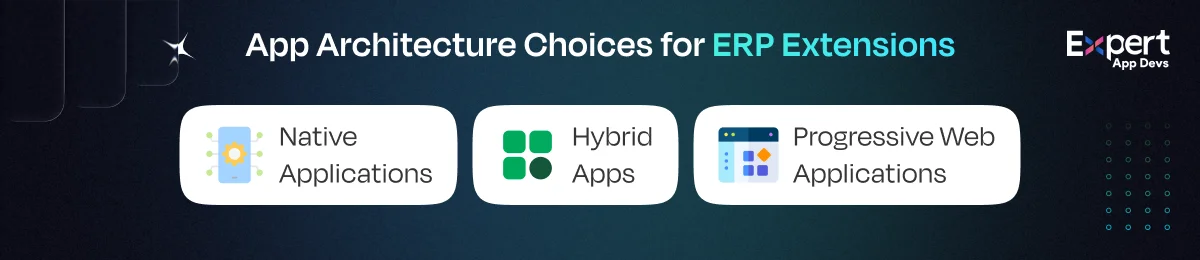 app architecture choices for erp extensions